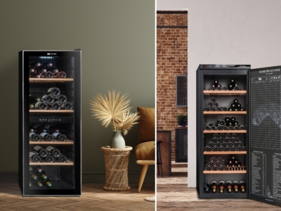 What are the differences between a solid door wine cellar and a glass door wine 
